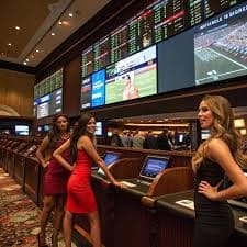 14vin bet